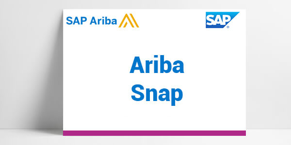 SAP ariba snap, consultants sap ariba, solutions digitales achats, solution digitales achats ETI