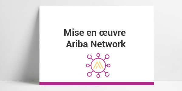 https://www.digital-achat.com/wp-content/uploads/2020/09/Ariba-network.jpg