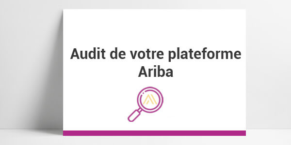 audit, cadrage, étude préalable, cartographie, plan d’actions